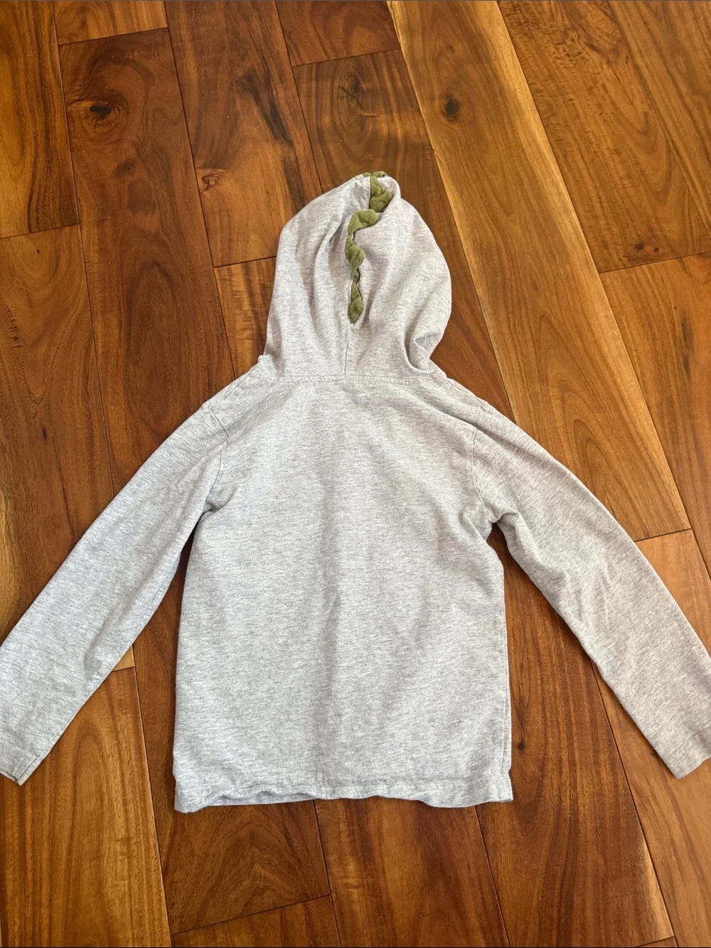 Carter's Gray Hooded Long-Sleeve Tee with Green and Orange Dino Print